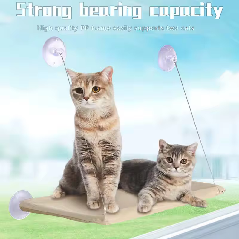 Hamac suspendu avec fenêtre pour chat, lit à ventouse, gain de place, toutes saisons, installation facile, cadre d'escalade pour chat, hiver