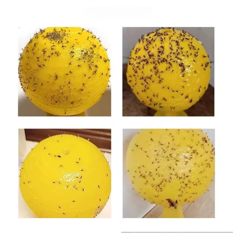 Piège à mouches collant fort, capteur d'insectes de fruits d'intérieur et d'extérieur, boule de colle Non toxique, Gadget Portable de lutte antiparasitaire de voyage pour jardin et pelouse