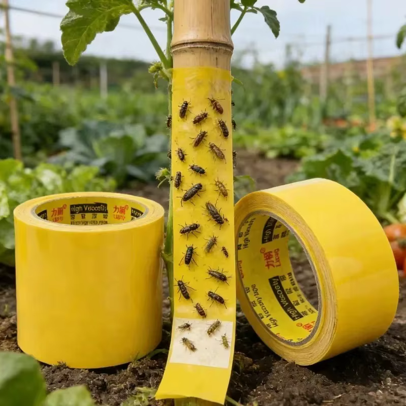 Ruban adhésif jaune pour la capture des insectes, 10 m, double face, pièges adhésifs, contrôle des parasites des arbres fruitiers, pelouse, autocollants, fournitures de jardin