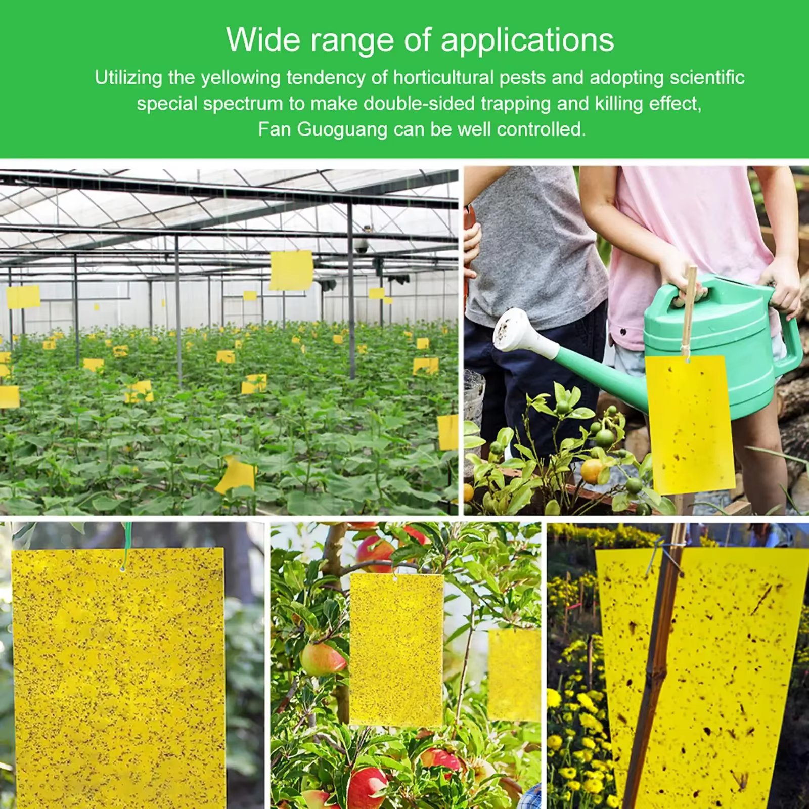Lot de 20 à 200 Pièces d'Autocollants pour l'Extérieur, Piège à Mouches, Double Face, pour Plantes, Moustiques