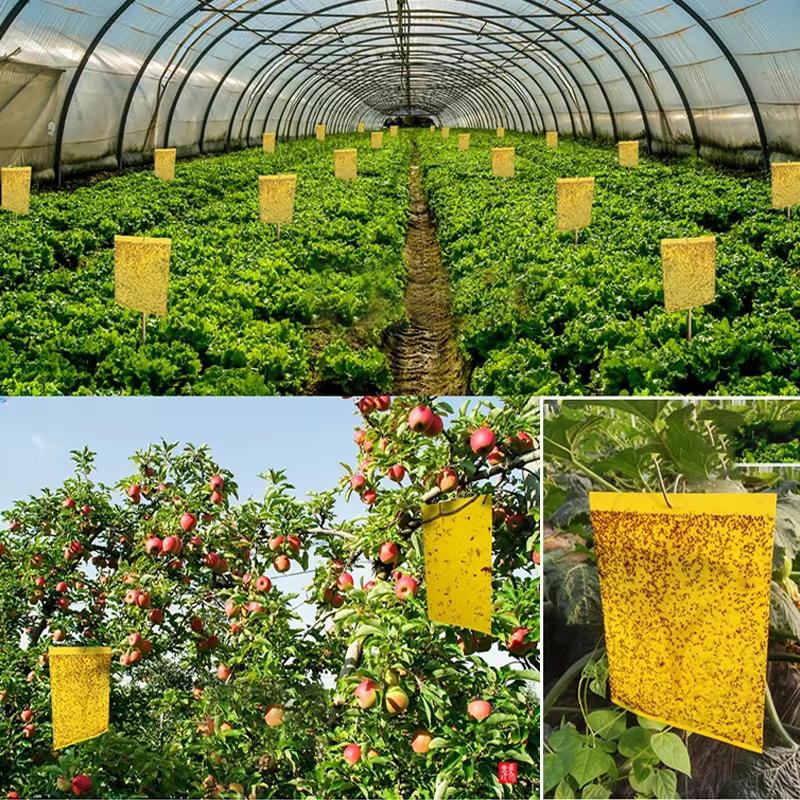 Pièges antiparasitaires collants Double face solides, attrape-insectes pour plantes de jardin, planche collante, piège antiparasitaire pour mouches blanches