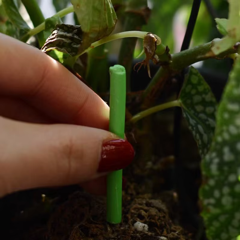 Barres nutritionnelles pour plantes, azote, phosphore, potassium, pour une croissance saine des plantes, fruits, légumes, fleurs, engrais composé