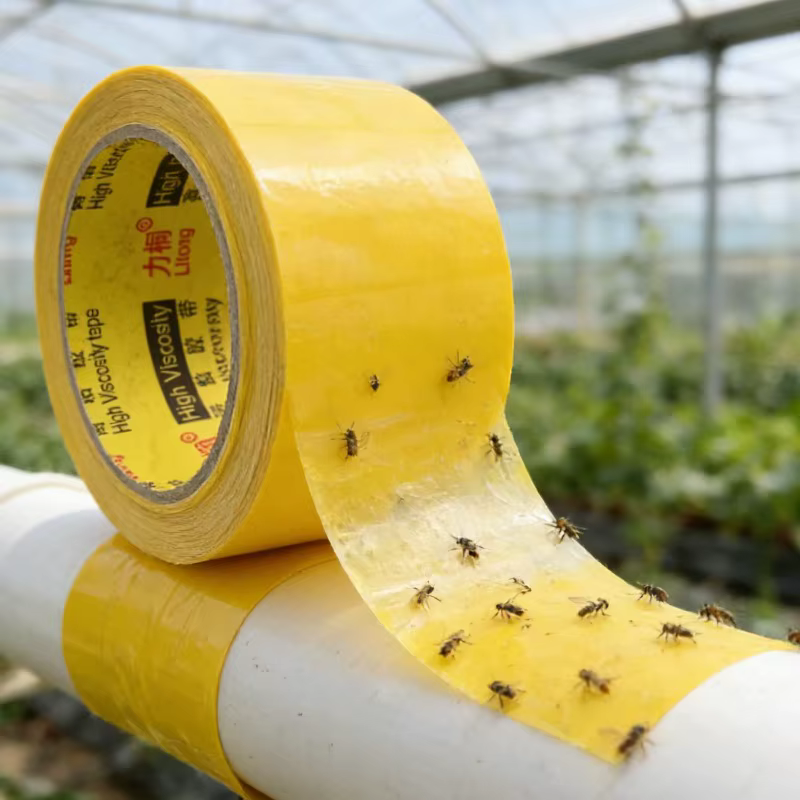 Ruban adhésif jaune pour la capture des insectes, 10 m, double face, pièges adhésifs, contrôle des parasites des arbres fruitiers, pelouse, autocollants, fournitures de jardin