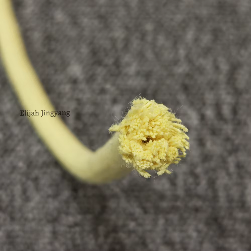 Équipement de Performance d'incendie ignifuge résistant à l'usure, accessoires de fabrication de corde Para aramide de 5/16 pouces, corde en Kevlar 100% Pure de 8mm