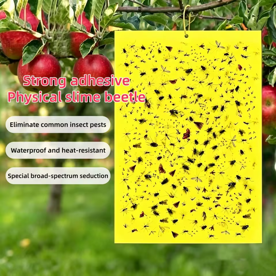 Piège à insectes collant jaune double face, anti-soleil et anti-pluie, pour vergers, jardins de thé et mouches des fruits
