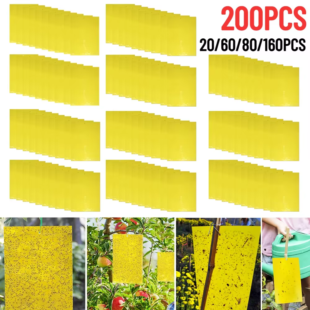 Lot de 20 à 200 Pièces d'Autocollants pour l'Extérieur, Piège à Mouches, Double Face, pour Plantes, Moustiques