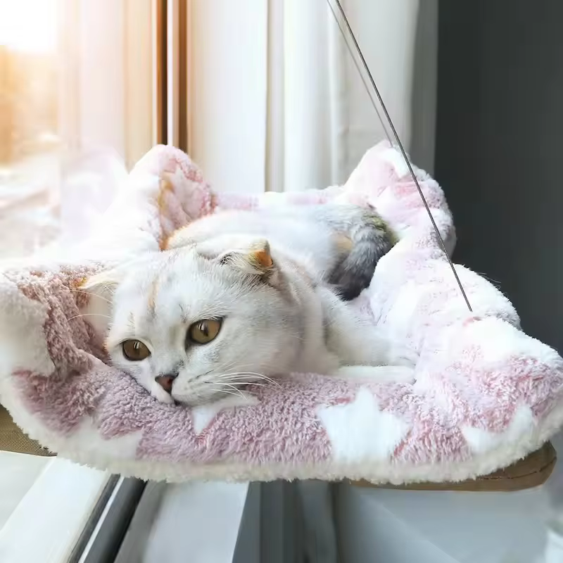 Hamac suspendu avec fenêtre pour chat, lit à ventouse, gain de place, toutes saisons, installation facile, cadre d'escalade pour chat, hiver